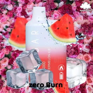Watermelon Ice 5000 Puffs (Zero Burn) (Copy)